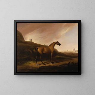 Alvan Fisher - Napoleons Horse.webp