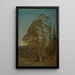 Furuer Levanger - Amaldus Nielsen — artwork view