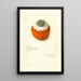 Citrus sinensis - Amanda Almira Newton — gerahmtes Bild an der Wand