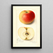 Malus domestica Banana - Amanda Almira Newton — gerahmtes Bild an der Wand