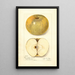 Riproduzione del dipinto Malus domestica Pumpkin Sweet - Amanda Almira Newton