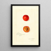 Reproduktion des Gemäldes Prunus domestica Wild Goose - Amanda Almira Newton