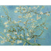 Reproduktion des Gemäldes Mandelblüte - Vincent Van Gogh