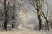Winterwald - Anders Andersen-Lundby — Ansicht des Kunstwerks