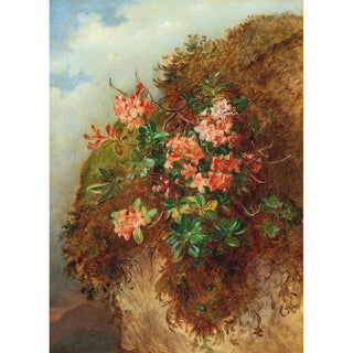 Andreas Lach - Alpine Rose on a Mountain Slope.webp