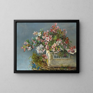 Andreas Lach - Alpine Roses In A Window Box.webp