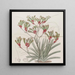 Anigozanthus a due colori e capelli gialli - Sydenham Edwards — quadro incorniciato alla parete