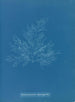 Bonnemaisonia asparagoides - Anna Atkins — Ansicht des Kunstwerks