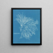 in ceramica rossa - Anna Atkins — quadro incorniciato alla parete