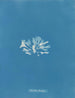 Chondrus brodii - Anna Atkins — vista dell’opera