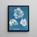 Coquille croustillante - Anna Atkins — quadro incorniciato alla parete