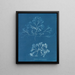 Chondrus membranifolius - Anna Atkins — gerahmtes Bild an der Wand
