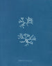 Chondrus norvegicus - Anna Atkins — vista dell’opera