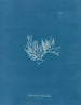 Chylocladia articulé - Anna Atkins — vista dell’opera