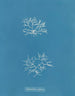 Chylocladia reflexa - Anna Atkins — Ansicht des Kunstwerks