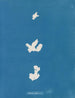 Adhérer au codice - Anna Atkins — vista dell’opera