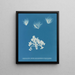 Conferva arcta i tre esemplari superiori in giovane età - Anna Atkins — quadro incorniciato alla parete