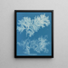 Comparer mince - Anna Atkins — quadro incorniciato alla parete