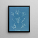 Coralline allungato - Anna Atkins — quadro incorniciato alla parete