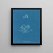 Scaglie coralline - Anna Atkins — quadro incorniciato alla parete