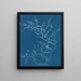 Cystoseira fibrosa - Anna Atkins — quadro incorniciato alla parete