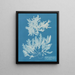Delesseria sinuosa margine ciliata con frutto - Anna Atkins — quadro incorniciato alla parete