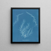 Delesseria hypoglossum - Anna Atkins — quadro incorniciato alla parete