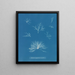 Delesseria hypoglossum nei frutti - Anna Atkins — quadro incorniciato alla parete