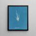 Ectocarpus mertensii - Anna Atkins — gerahmtes Bild an der Wand