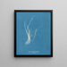 Enteromorpha compressa - Anna Atkins — gerahmtes Bild an der Wand