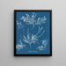 Der Raureif auf der Nase - Anna Atkins — gerahmtes Bild an der Wand