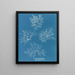 Gigartina acicularis mit schönen Früchten - Anna Atkins — gerahmtes Bild an der Wand