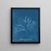 Großes lila Rosen-Gemälde in Frucht - Anna Atkins — gerahmtes Bild an der Wand