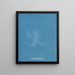 Gloiosiphonia capillaris - Anna Atkins — quadro incorniciato alla parete