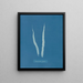 Fascia laminaire - Anna Atkins — gerahmtes Bild an der Wand