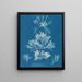 Laurencia pinnatifida - Anna Atkins — gerahmtes Bild an der Wand