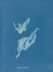 Lyngbya majuscula - Anna Atkins — Ansicht des Kunstwerks