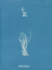 Lyngbya speciosa - Anna Atkins — Ansicht des Kunstwerks