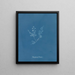 Polysiphonia Brodiaei Partie X - Anna Atkins — gerahmtes Bild an der Wand