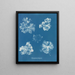 Polysiphonia fastigiata - Anna Atkins — gerahmtes Bild an der Wand