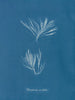 Polysiphonia urceolata - Anna Atkins — Ansicht des Kunstwerks