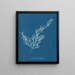 Sargassum bacciferum - Anna Atkins — gerahmtes Bild an der Wand