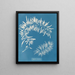 Sargasses plumeuses - Anna Atkins — quadro incorniciato alla parete
