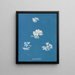Schizonema grevillii - Anna Atkins — gerahmtes Bild an der Wand