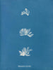 Schizonema comoides - Anna Atkins — Ansicht des Kunstwerks