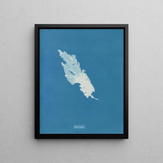 Anna Atkins - Ulva Linza.webp