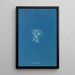 Reproduktion des Gemäldes Vaucheria racemosa - Anna Atkins