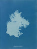 Zygnema curvo - Anna Atkins — vista dell’opera