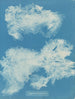 Dîmes de Zygnema - Anna Atkins — vista dell’opera