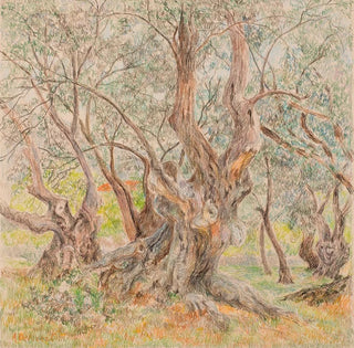 Anna De Weert - Oude olijfbomen.webp